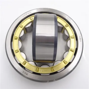 Rullo cilindrico con cuscinetto ceramico NU 311